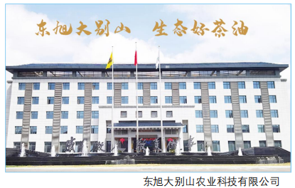 安徽金寨小小的油茶果成富民大产业